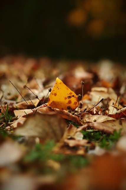 没有预料到 没有预料到