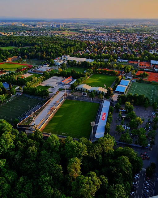 迪亚洛退赛 迪亚洛退赛