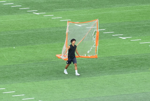 引领的策略 引领的策略